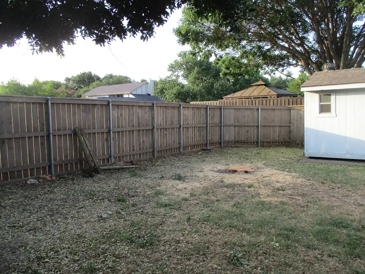 Cleared yard after professional tree removal in Elmdale