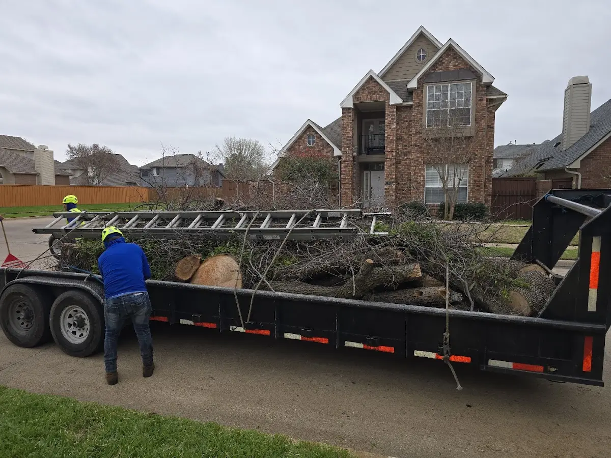 Expert Lot Clearing with proper safety equipment in Elmdale